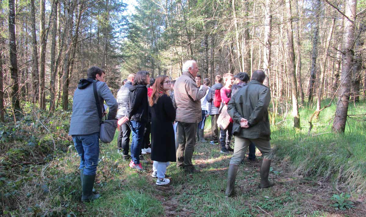 Des collégiens découvrent la sylviculture