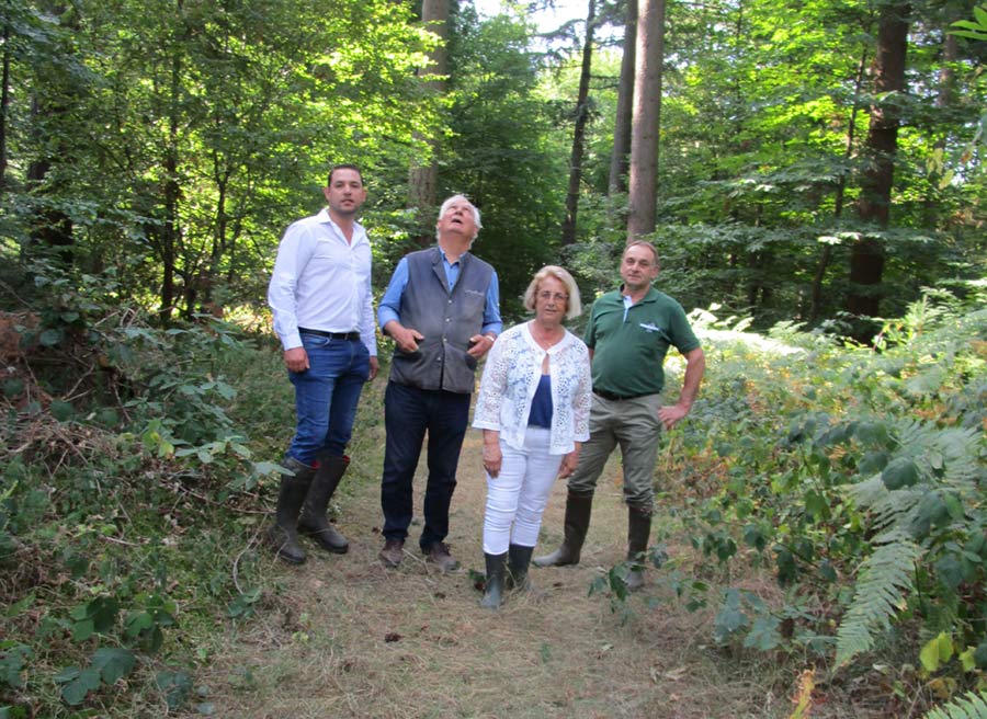 Visite de forêt avec Mme Marie-Laurence Roy