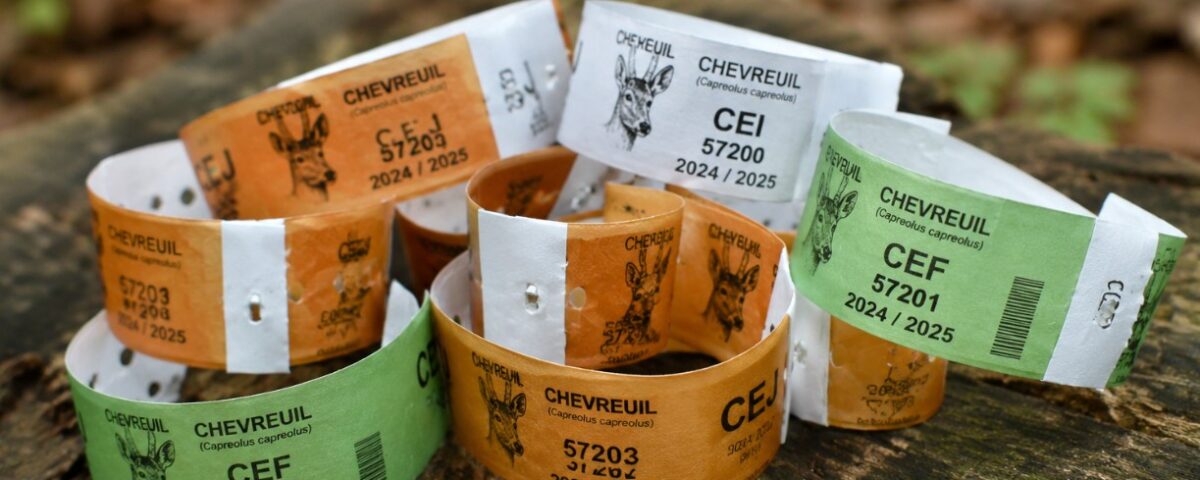 Bracelets chevreuil Équilibre Agro-Sylvo-Cinégétique